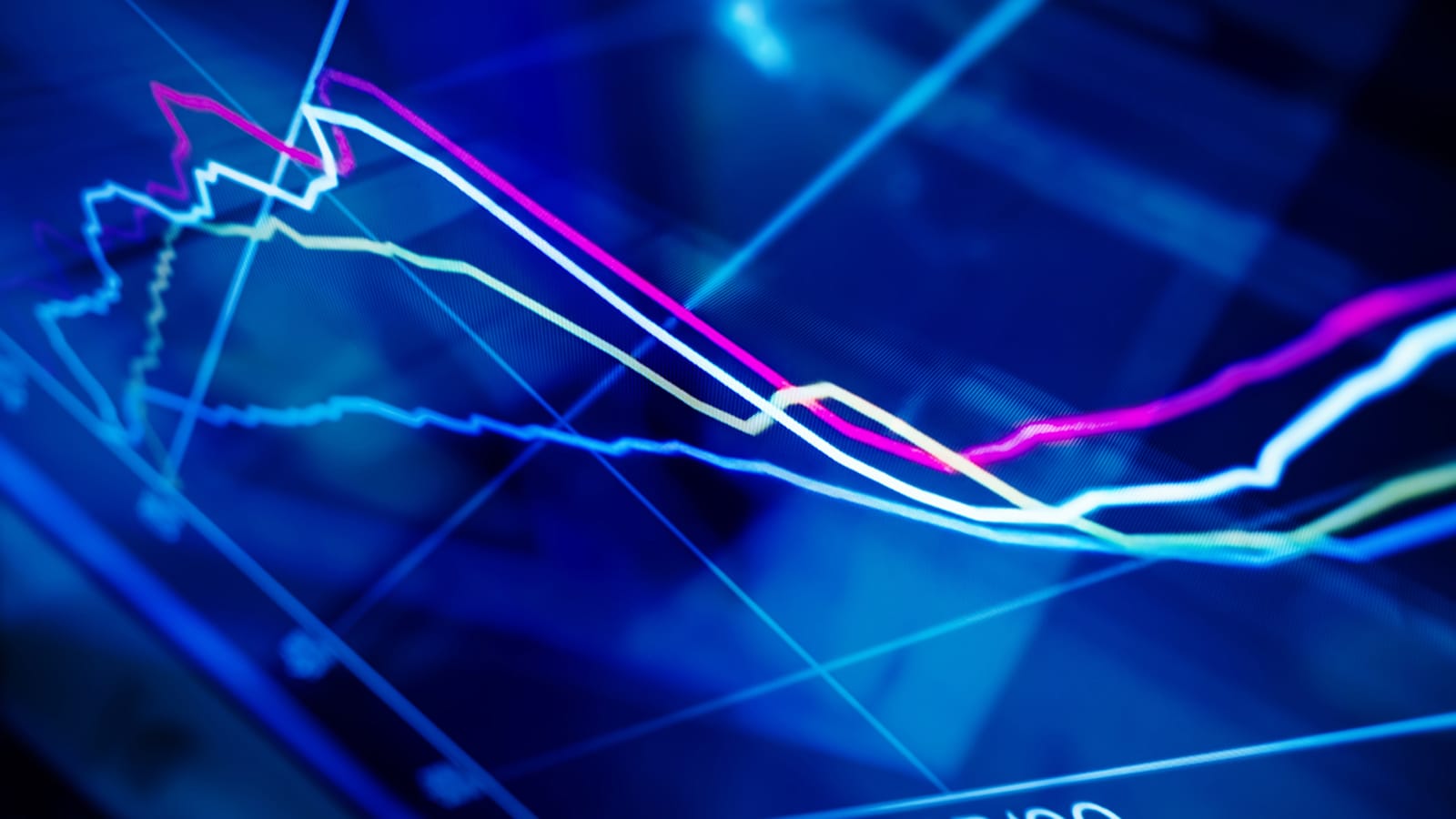 Auf wie viel Dividende sich Aktionäre in 2026 freuen können